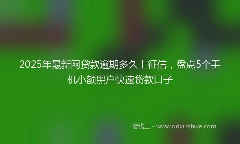 2025年最新网贷款逾期多久上征信，盘点5个手机小额黑户快速贷款口子