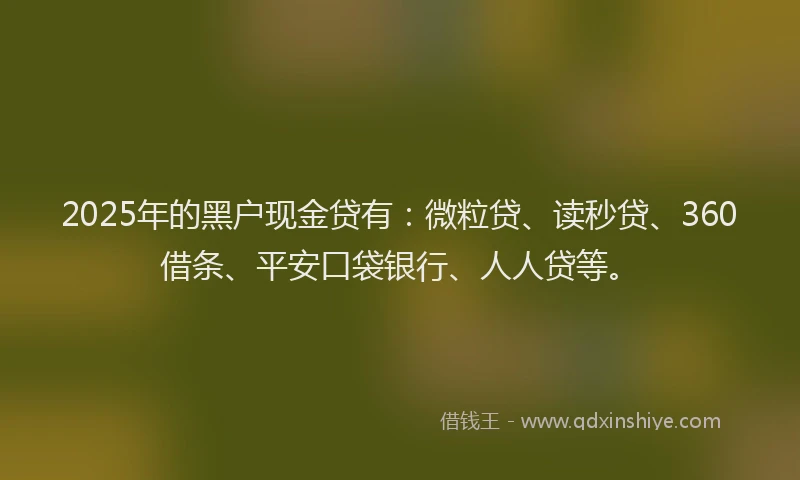 2025年的黑户现金贷有：微粒贷、读秒贷、360借条、平安口袋银行、人人贷等。