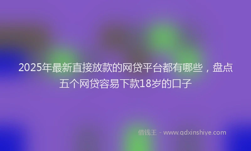 2025年最新直接放款的网贷平台都有哪些，盘点五个网贷容易下款18岁的口子