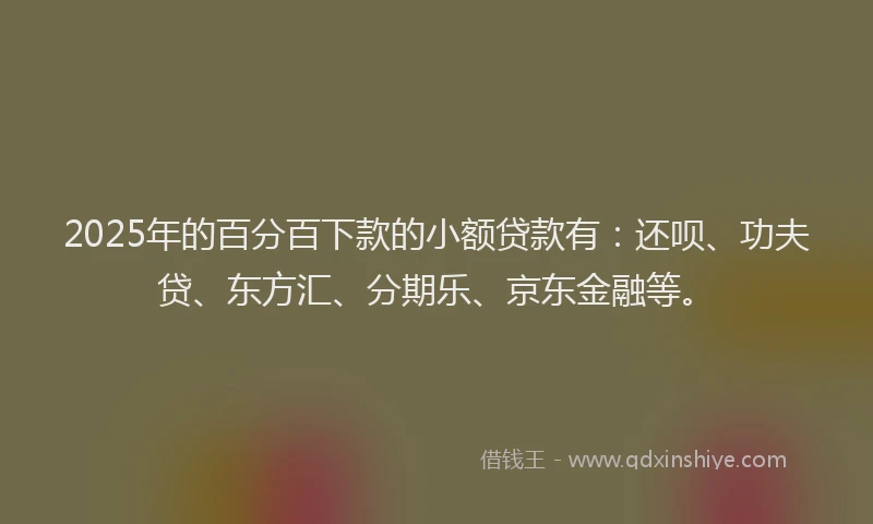 2025年的百分百下款的小额贷款有：还呗、功夫贷、东方汇、分期乐、京东金融等。