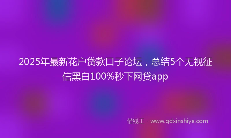 2025年最新花户贷款口子论坛，总结5个无视征信黑白100%秒下网贷app