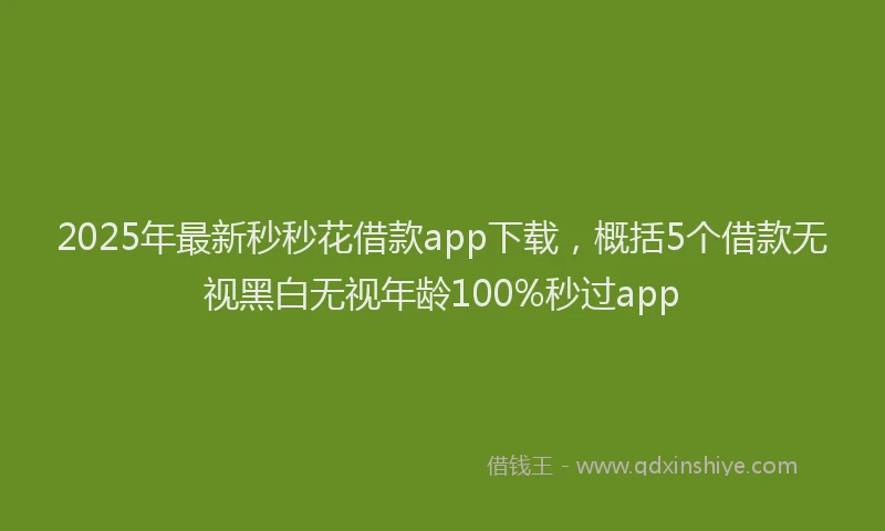 2025年最新秒秒花借款app下载，概括5个借款无视黑白无视年龄100%秒过app