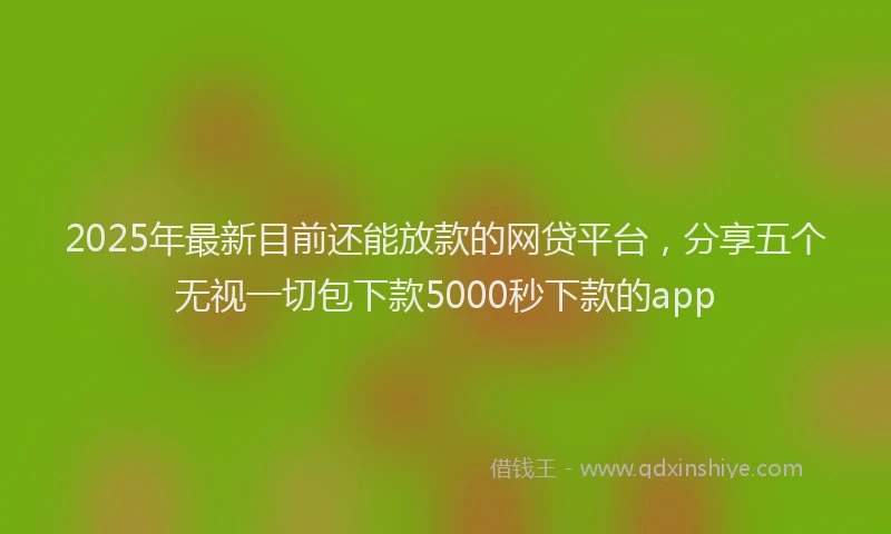 2025年最新目前还能放款的网贷平台，分享五个无视一切包下款5000秒下款的app