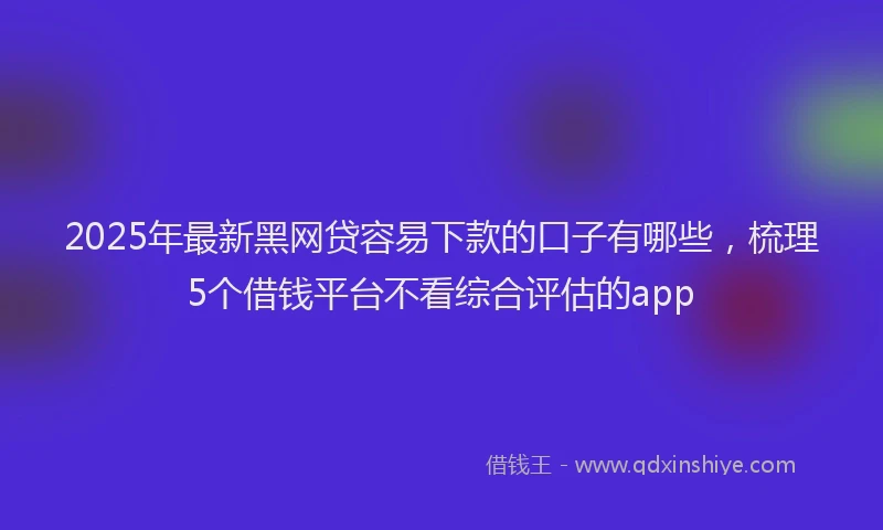 2025年最新黑网贷容易下款的口子有哪些，梳理5个借钱平台不看综合评估的app
