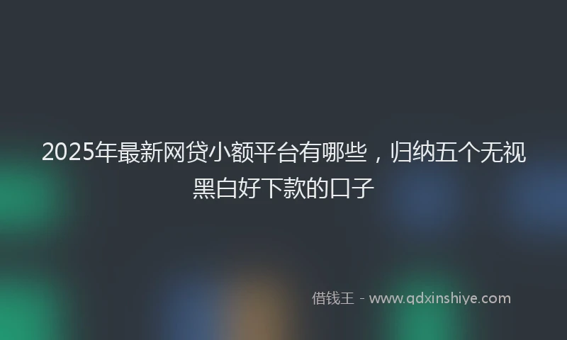 2025年最新网贷小额平台有哪些，归纳五个无视黑白好下款的口子