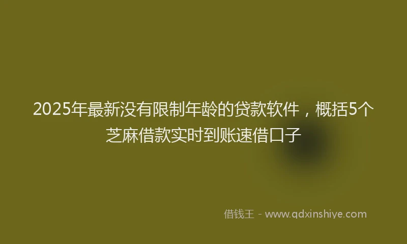2025年最新没有限制年龄的贷款软件，概括5个芝麻借款实时到账速借口子