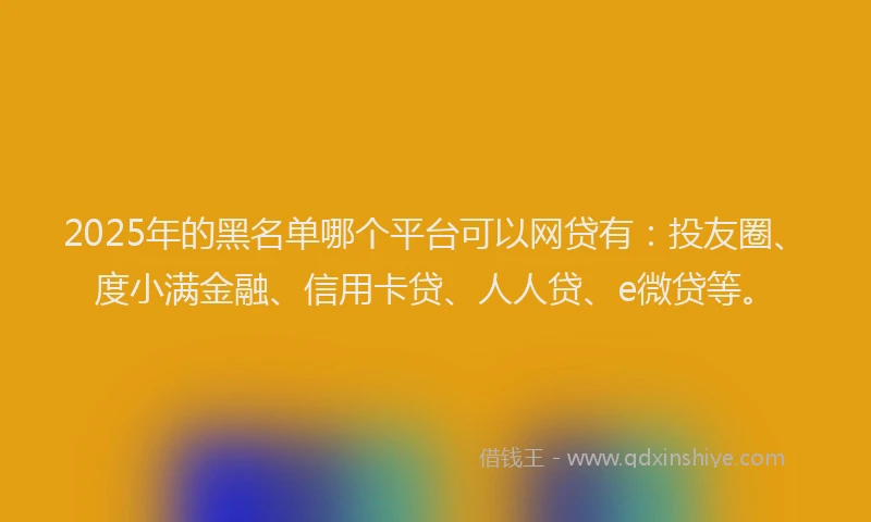 2025年的黑名单哪个平台可以网贷有：投友圈、度小满金融、信用卡贷、人人贷、e微贷等。