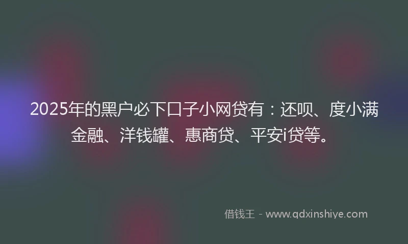 2025年的黑户必下口子小网贷有：还呗、度小满金融、洋钱罐、惠商贷、平安i贷等。