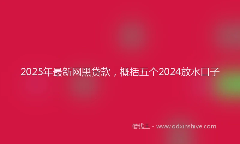 2025年最新网黑贷款，概括五个2024放水口子
