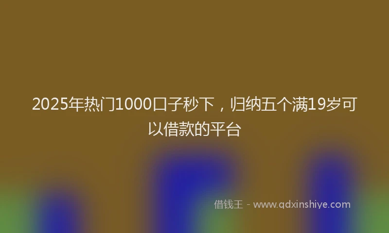 2025年热门1000口子秒下，归纳五个满19岁可以借款的平台