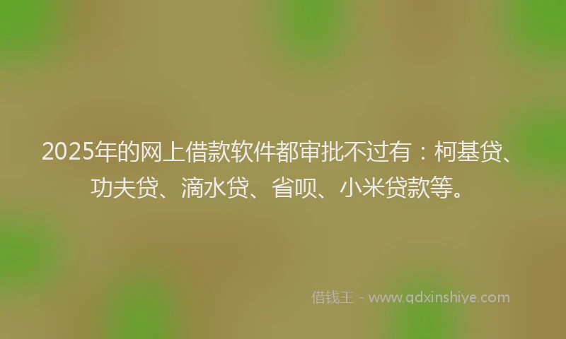 2025年的网上借款软件都审批不过有：柯基贷、功夫贷、滴水贷、省呗、小米贷款等。