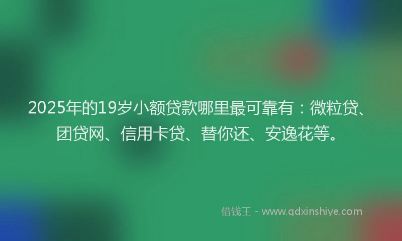 2025年的19岁小额贷款哪里最可靠有：微粒贷、团贷网、信用卡贷、替你还、安逸花等。