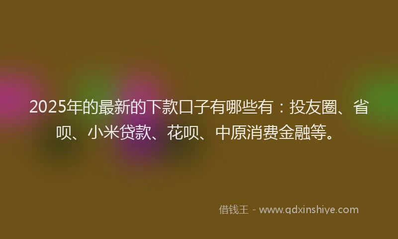 2025年的最新的下款口子有哪些有：投友圈、省呗、小米贷款、花呗、中原消费金融等。