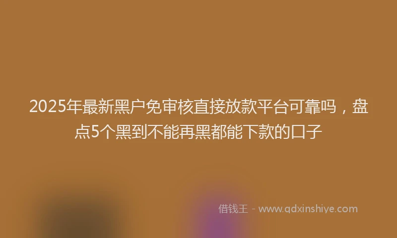 2025年最新黑户免审核直接放款平台可靠吗，盘点5个黑到不能再黑都能下款的口子