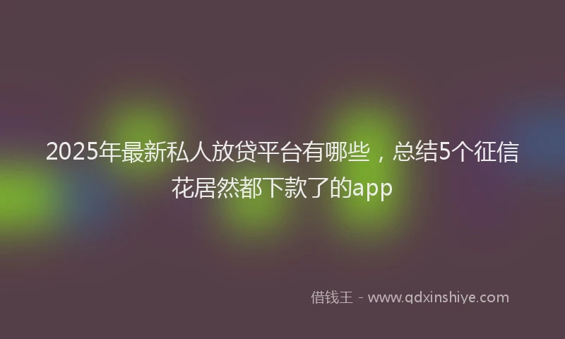 2025年最新私人放贷平台有哪些，总结5个征信花居然都下款了的app