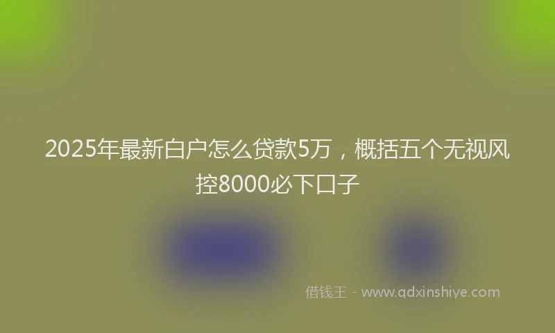 2025年最新白户怎么贷款5万，概括五个无视风控8000必下口子