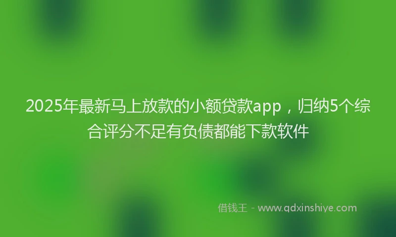 2025年最新马上放款的小额贷款app，归纳5个综合评分不足有负债都能下款软件