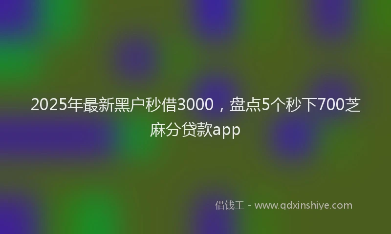 2025年最新黑户秒借3000，盘点5个秒下700芝麻分贷款app