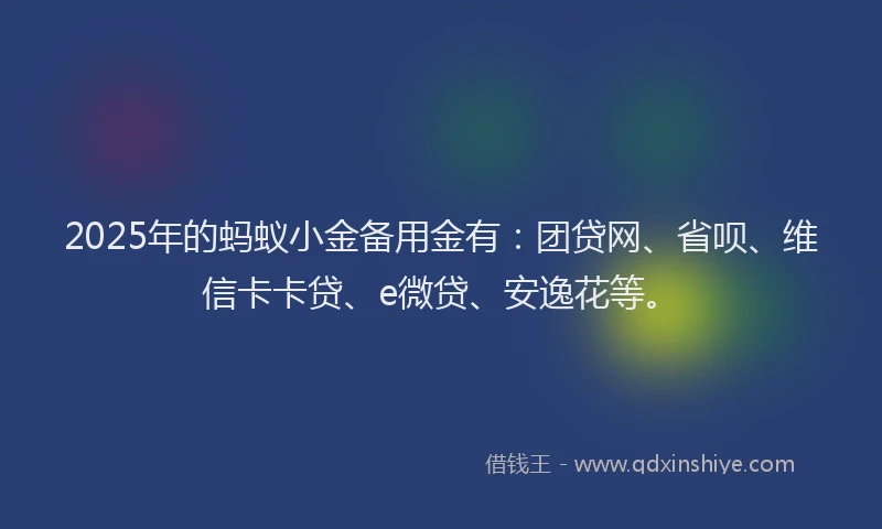 2025年的蚂蚁小金备用金有：团贷网、省呗、维信卡卡贷、e微贷、安逸花等。