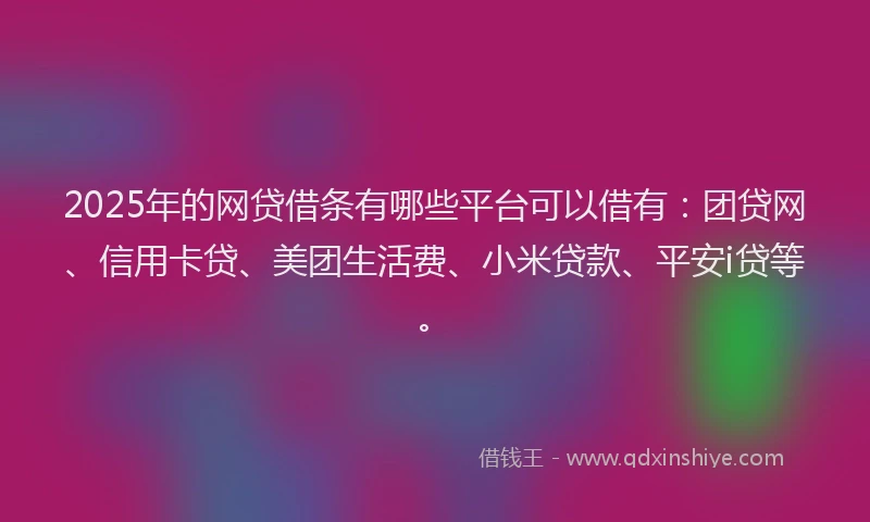 2025年的网贷借条有哪些平台可以借有：团贷网、信用卡贷、美团生活费、小米贷款、平安i贷等。