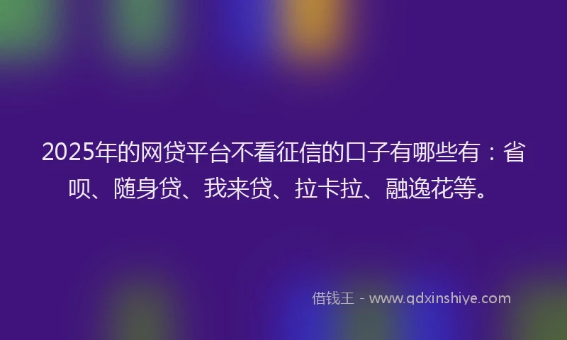 2025年的网贷平台不看征信的口子有哪些有：省呗、随身贷、我来贷、拉卡拉、融逸花等。