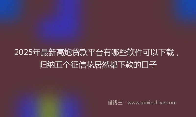 2025年最新高炮贷款平台有哪些软件可以下载，归纳五个征信花居然都下款的口子