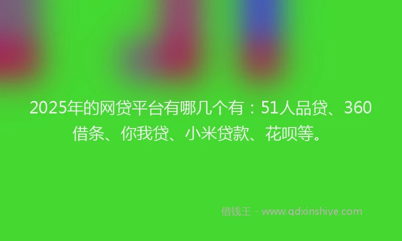 2025年的网贷平台有哪几个有：51人品贷、360借条、你我贷、小米贷款、花呗等。