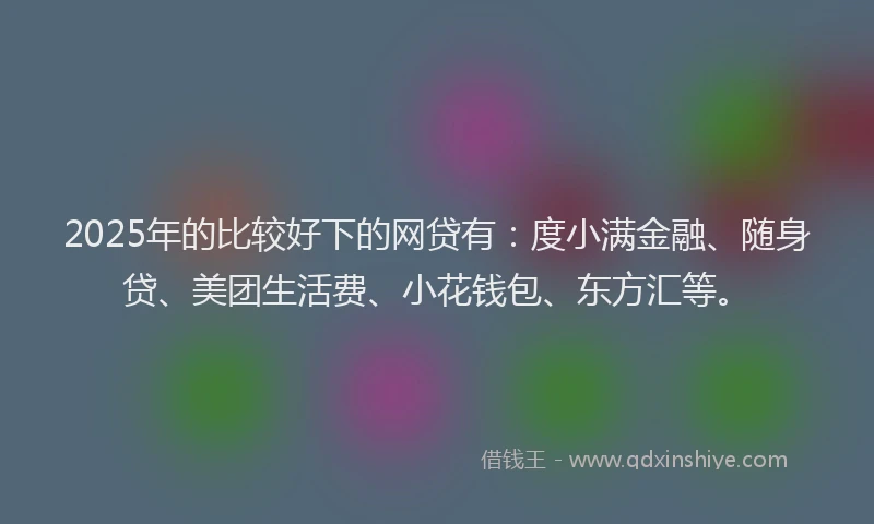 2025年的比较好下的网贷有：度小满金融、随身贷、美团生活费、小花钱包、东方汇等。
