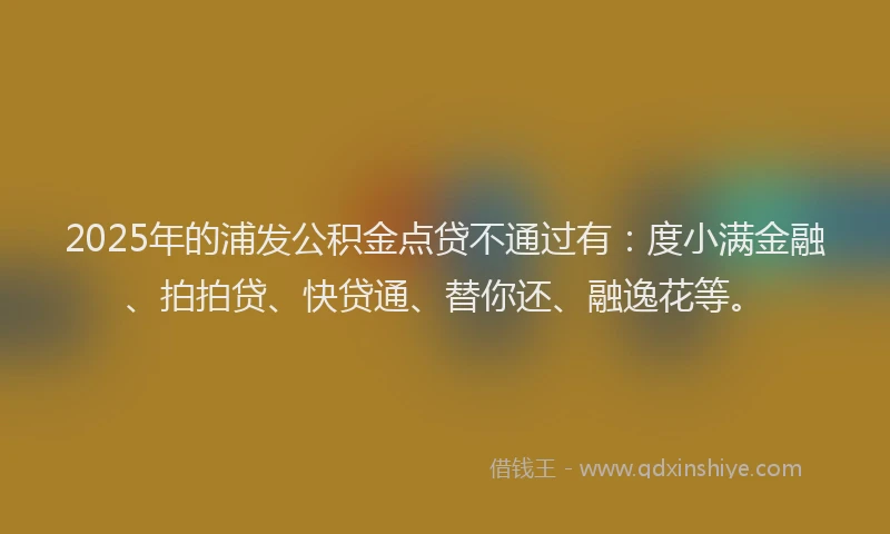 2025年的浦发公积金点贷不通过有：度小满金融、拍拍贷、快贷通、替你还、融逸花等。