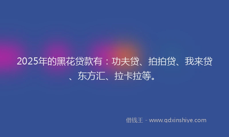 2025年的黑花贷款有：功夫贷、拍拍贷、我来贷、东方汇、拉卡拉等。