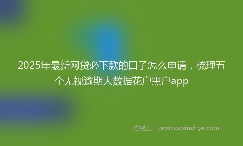 2025年最新网贷必下款的口子怎么申请，梳理五个无视逾期大数据花户黑户app