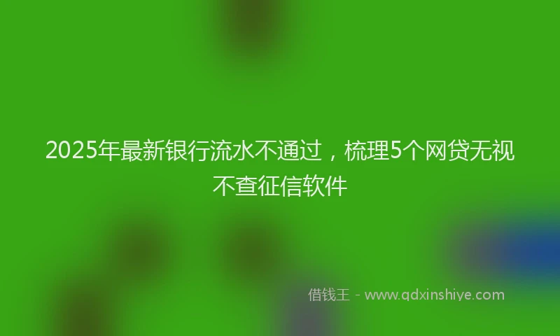 2025年最新银行流水不通过，梳理5个网贷无视不查征信软件