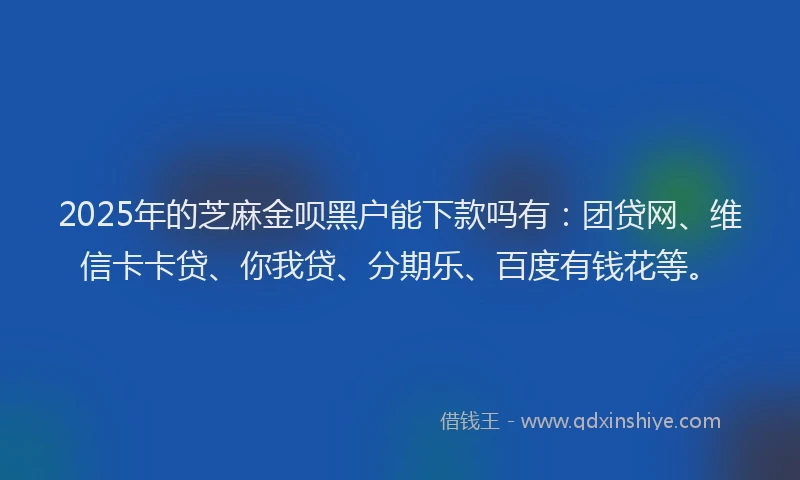 2025年的芝麻金呗黑户能下款吗有：团贷网、维信卡卡贷、你我贷、分期乐、百度有钱花等。