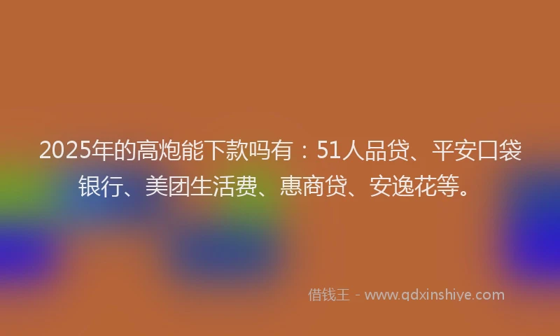 2025年的高炮能下款吗有：51人品贷、平安口袋银行、美团生活费、惠商贷、安逸花等。