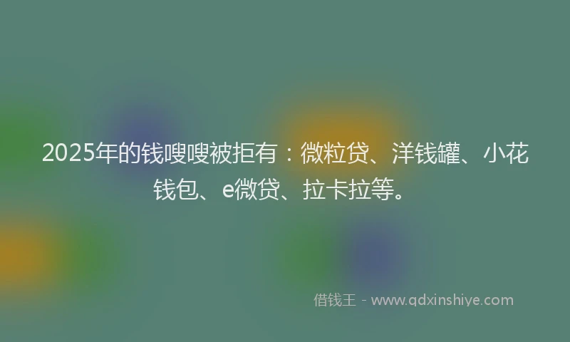2025年的钱嗖嗖被拒有：微粒贷、洋钱罐、小花钱包、e微贷、拉卡拉等。