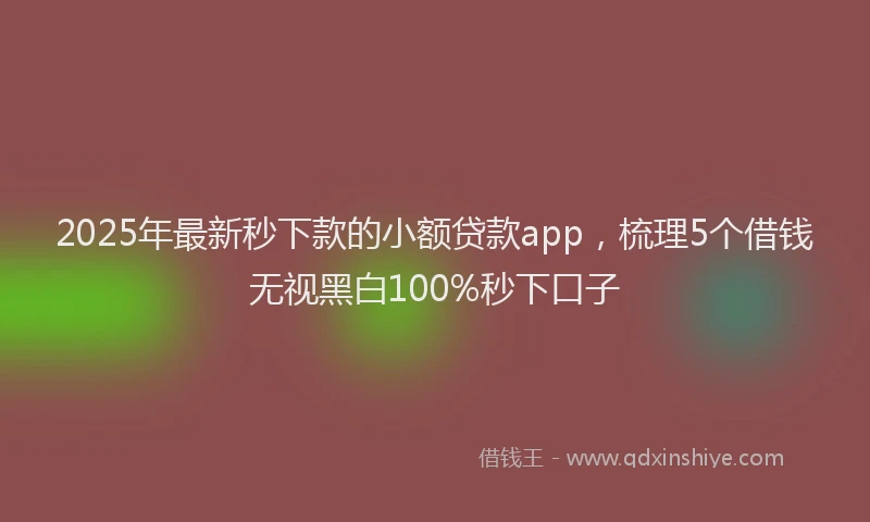 2025年最新秒下款的小额贷款app，梳理5个借钱无视黑白100%秒下口子
