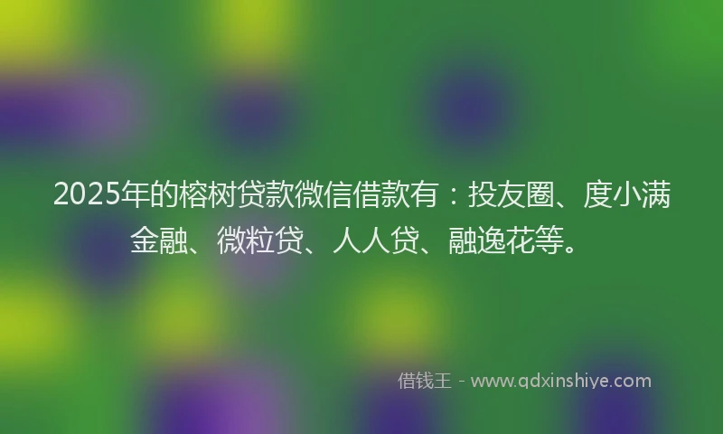 2025年的榕树贷款微信借款有：投友圈、度小满金融、微粒贷、人人贷、融逸花等。