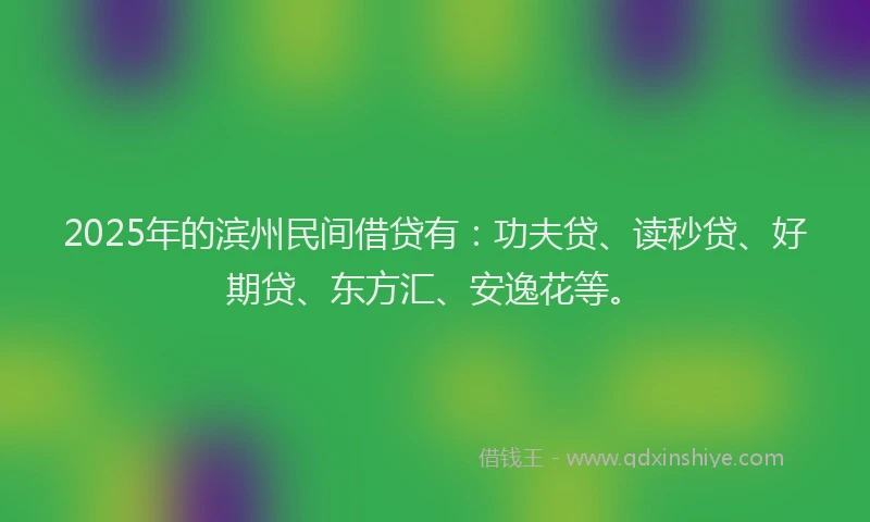 2025年的滨州民间借贷有：功夫贷、读秒贷、好期贷、东方汇、安逸花等。