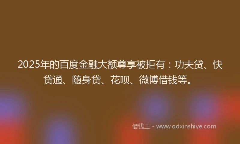 2025年的百度金融大额尊享被拒有：功夫贷、快贷通、随身贷、花呗、微博借钱等。