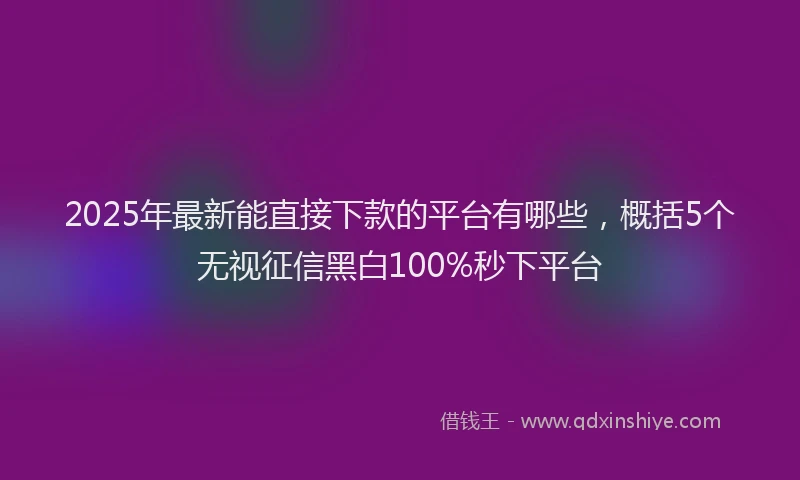 2025年最新能直接下款的平台有哪些，概括5个无视征信黑白100%秒下平台