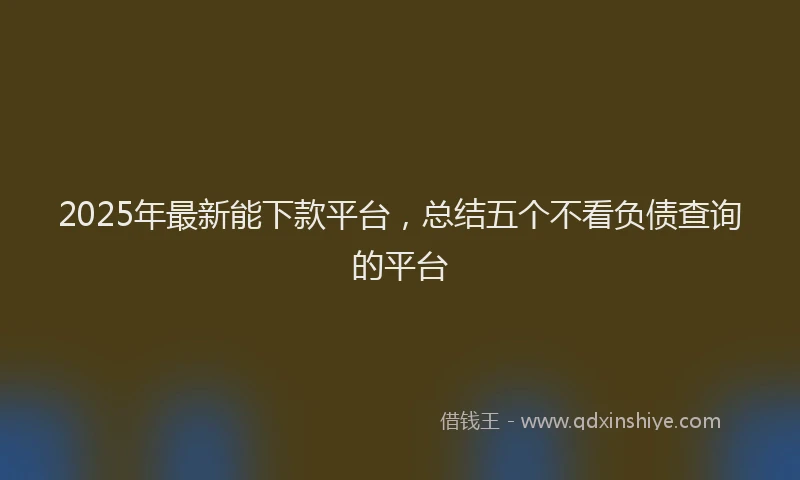 2025年最新能下款平台，总结五个不看负债查询的平台