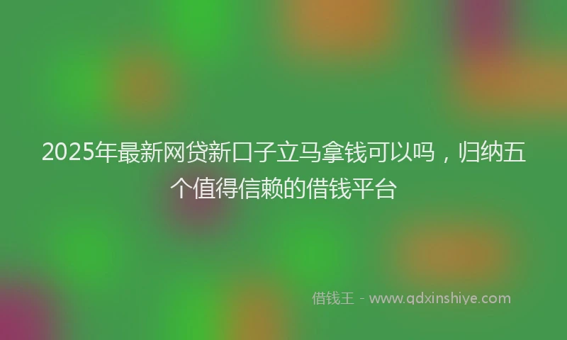 2025年最新网贷新口子立马拿钱可以吗，归纳五个值得信赖的借钱平台