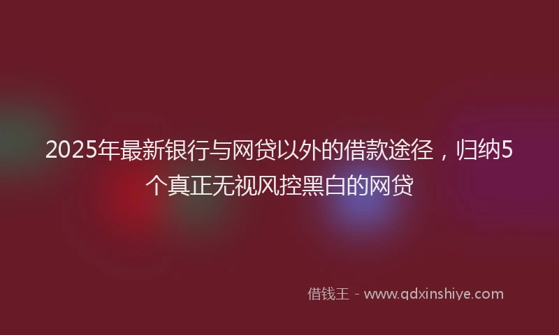 2025年最新银行与网贷以外的借款途径，归纳5个真正无视风控黑白的网贷