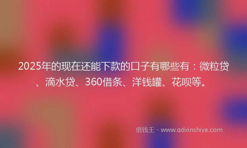 2025年的现在还能下款的口子有哪些有：微粒贷、滴水贷、360借条、洋钱罐、花呗等。