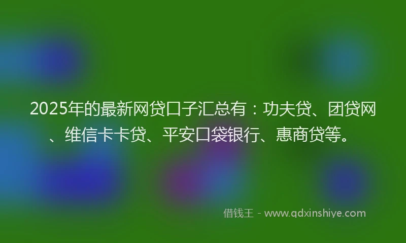 2025年的最新网贷口子汇总有：功夫贷、团贷网、维信卡卡贷、平安口袋银行、惠商贷等。