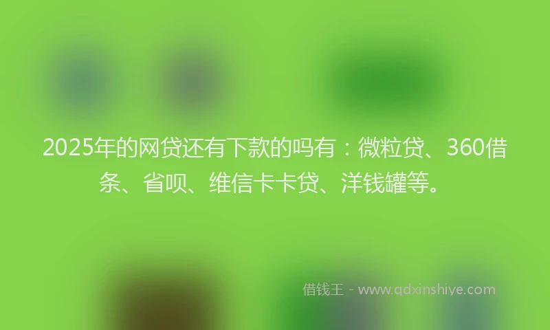 2025年的网贷还有下款的吗有：微粒贷、360借条、省呗、维信卡卡贷、洋钱罐等。