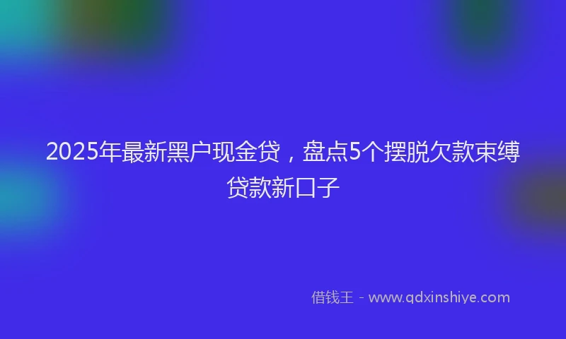 2025年最新黑户现金贷，盘点5个摆脱欠款束缚贷款新口子