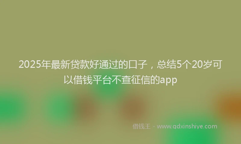 2025年最新贷款好通过的口子，总结5个20岁可以借钱平台不查征信的app