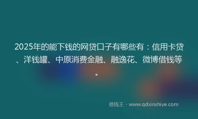2025年的能下钱的网贷口子有哪些有：信用卡贷、洋钱罐、中原消费金融、融逸花、微博借钱等。