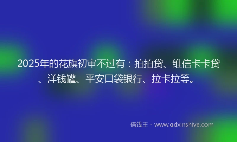 2025年的花旗初审不过有：拍拍贷、维信卡卡贷、洋钱罐、平安口袋银行、拉卡拉等。